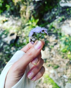 Anushka Sharma Instagram - There’s a mountain in the mountains and there is no one at the top …