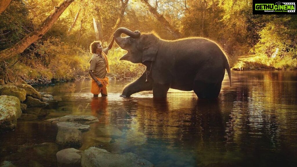 Anushka Shetty Instagram - What a moment #elephantwhispers brings home the #oscar for best documentary short! Unforgettable day for India. Congrats @kartikigonsalves @guneetmonga @achinjain20 @sikhva #karanthapvival mr makhija @anandbansal2810 @sanchariti #douglasblush