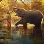 Anushka Shetty Instagram - What a moment #elephantwhispers brings home the #oscar for best documentary short! Unforgettable day for India. Congrats @kartikigonsalves @guneetmonga @achinjain20 @sikhva #karanthapvival mr makhija @anandbansal2810 @sanchariti #douglasblush