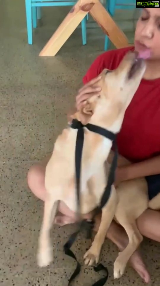 Archana Kavi Instagram - I'm blessed to have Pluto's love... . . . #dogsofinstagram #doglover #dog #dogs #indiedog