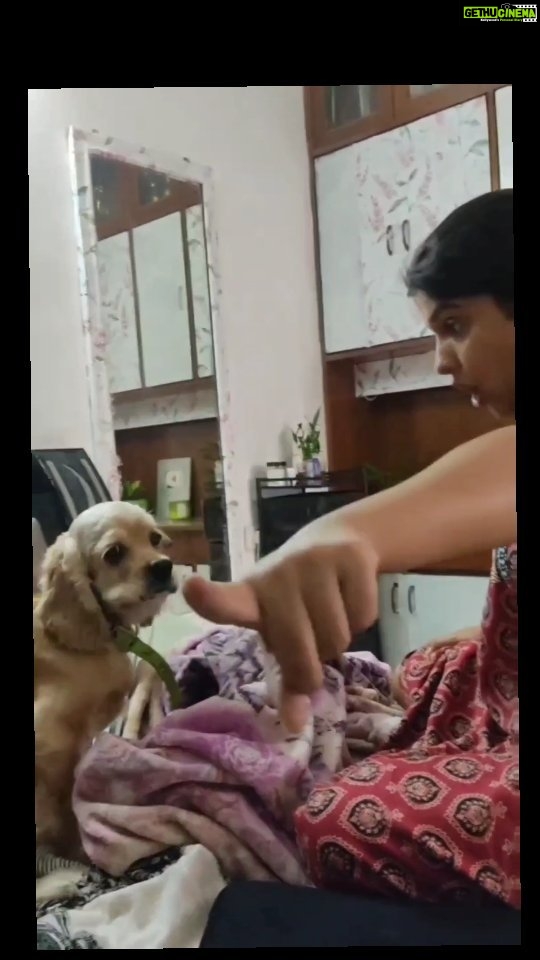 Archana Kavi Instagram - Bipolar mom... . #reelstory #dogsofinstagram #dogs #cockerspaniel #motherslove