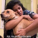 Archana Kavi Instagram - Tag your Archie below! . . #reelstory #reelitfeelit #bipolar #funny #roommate Kochi, India
