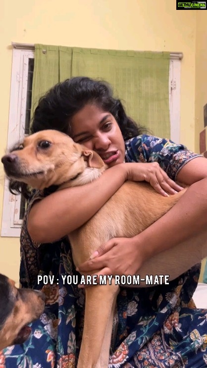 Archana Kavi Instagram - Tag your Archie below! . . #reelstory #reelitfeelit #bipolar #funny #roommate Kochi, India