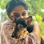 Archana Kavi Instagram - Bruno ❤️ #dogsofinstagram #doglover #indiedog #indie Kochi, India