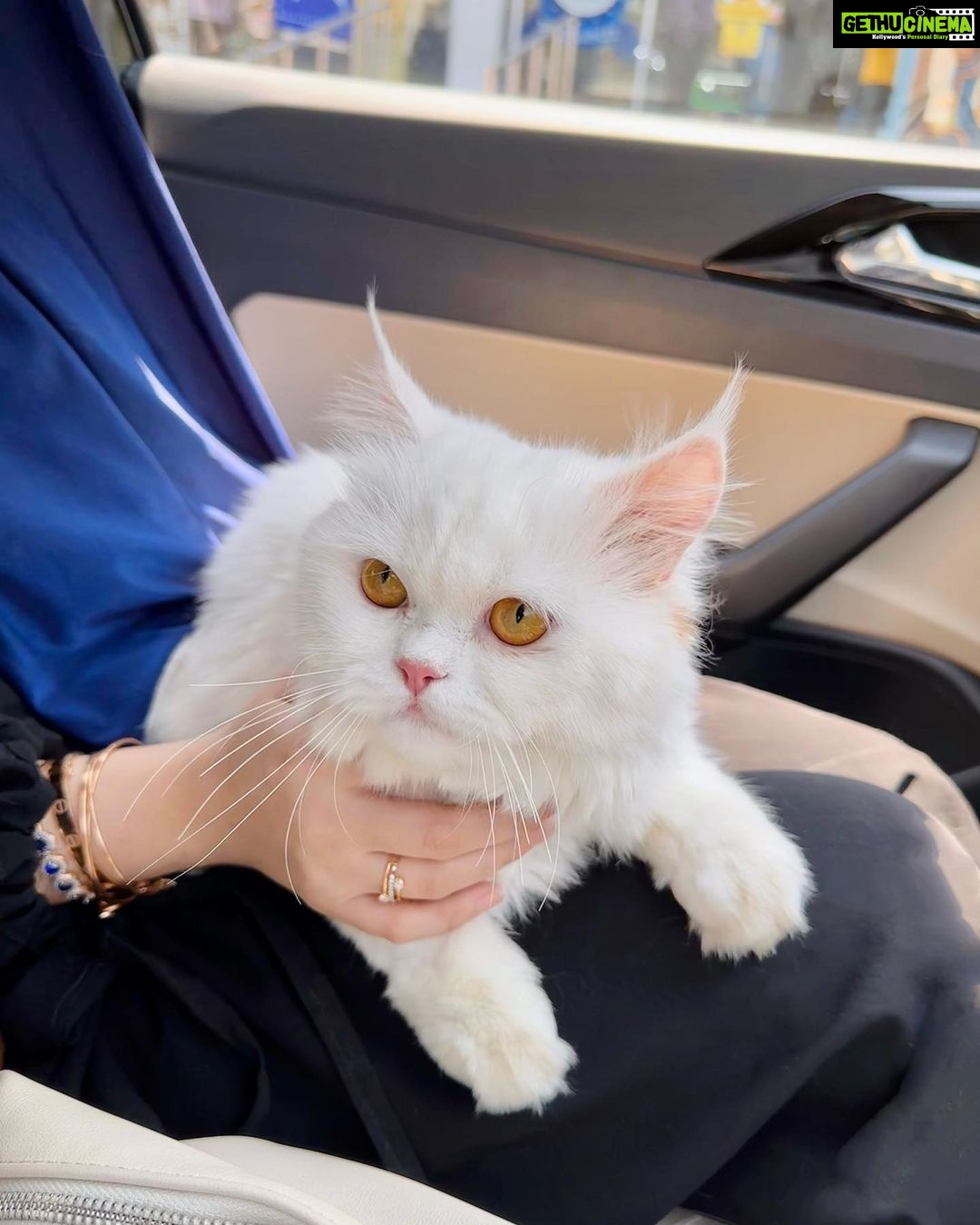 Arishfa Khan Instagram - Assalamu alaikum wa rahmatullahi wa barakatuhu✨ Jummah Mubarak💙