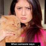 Arishfa Khan Instagram - Arey bacha hai mera🥺🐾 #cat #lily #comedy