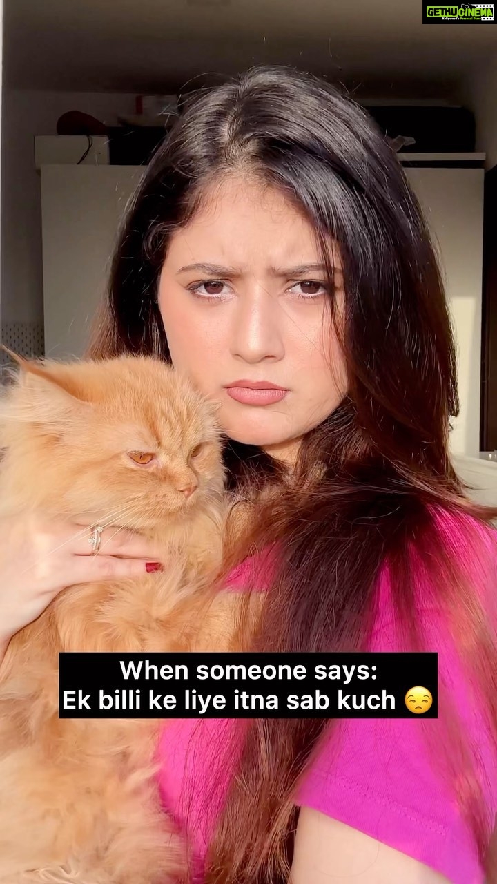 Arishfa Khan Instagram - Arey bacha hai mera🥺🐾 #cat #lily #comedy
