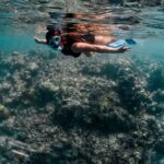 Ashnoor Kaur Instagram - A feeling so surreal!!!🧜🏻‍♀️🤿 Swam with the fish, touched some, explored & realized there’s another chaos below the calm ocean… Another ecosphere, another biota… Nature & it’s wonders…!🌊 . . . 🩱 @merakilifestudio 📸 @_._muitzz_._ 📍 @sunsiyamresorts @sunsiyamiruveli 🤝 @planmyleisure Indian Ocean, Maldives