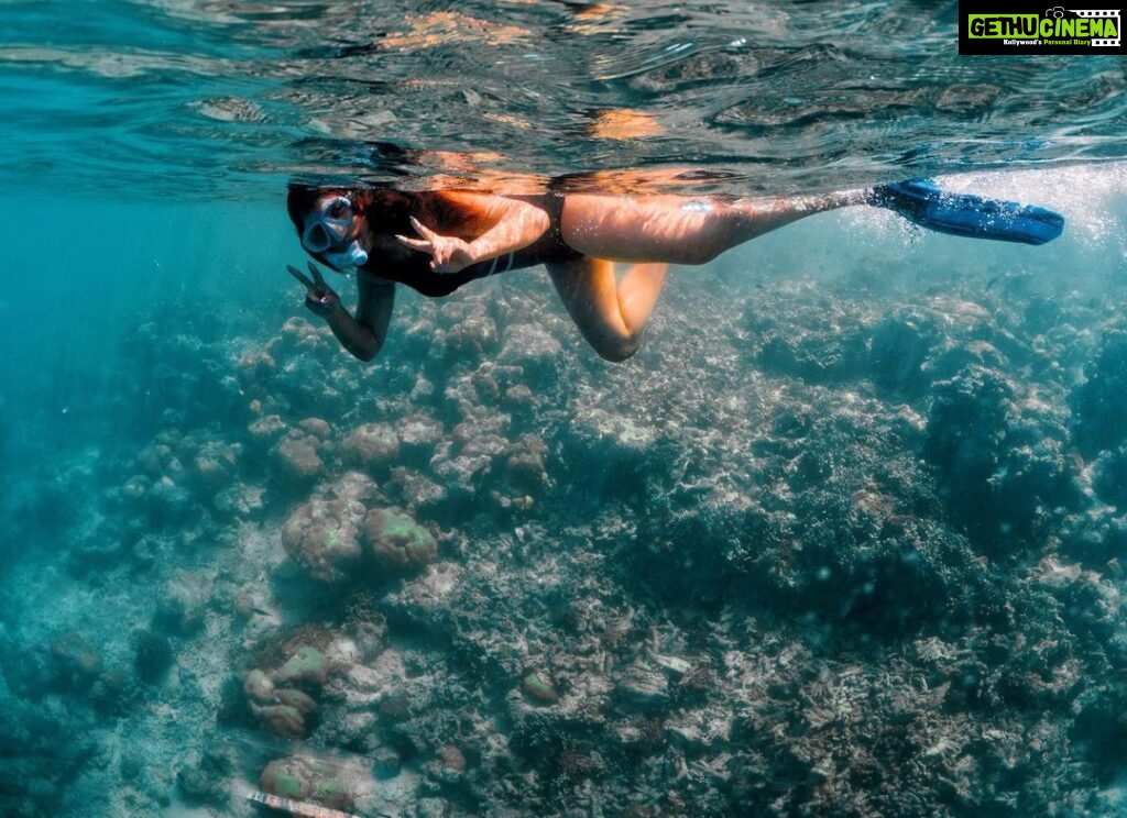 Ashnoor Kaur Instagram - A feeling so surreal!!!🧜🏻‍♀️🤿 Swam with the fish, touched some, explored & realized there’s another chaos below the calm ocean… Another ecosphere, another biota… Nature & it’s wonders…!🌊 . . . 🩱 @merakilifestudio 📸 @_._muitzz_._ 📍 @sunsiyamresorts @sunsiyamiruveli 🤝 @planmyleisure Indian Ocean, Maldives