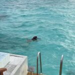 Ashnoor Kaur Instagram - Could there have been any better way to celebrate the ‘World ocean day’ other than swimming in the Indian Ocean itself?🌊🤌🏻🤍 . . 📍 @sunsiyamiruveli @sunsiyamresorts 🤝 @planmyleisure Indian Ocean, Maldives