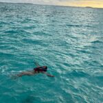 Ashnoor Kaur Instagram - Could there have been any better way to celebrate the ‘World ocean day’ other than swimming in the Indian Ocean itself?🌊🤌🏻🤍 . . 📍 @sunsiyamiruveli @sunsiyamresorts 🤝 @planmyleisure Indian Ocean, Maldives