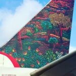 Aswathy Sreekanth Instagram - When Air India express took Kochin Biennale to the skies ❤️ Adaptation of GS Smitha’s original acrylic painting became the new tail art iconography for Air India express! So proud and happy to witness the event @kochibiennale @officialairindiaexpress @airindia.in @keralatourism #kochibiennale #muzrisbiennale #airindiaexpress #art #tailart #biggestcanvas