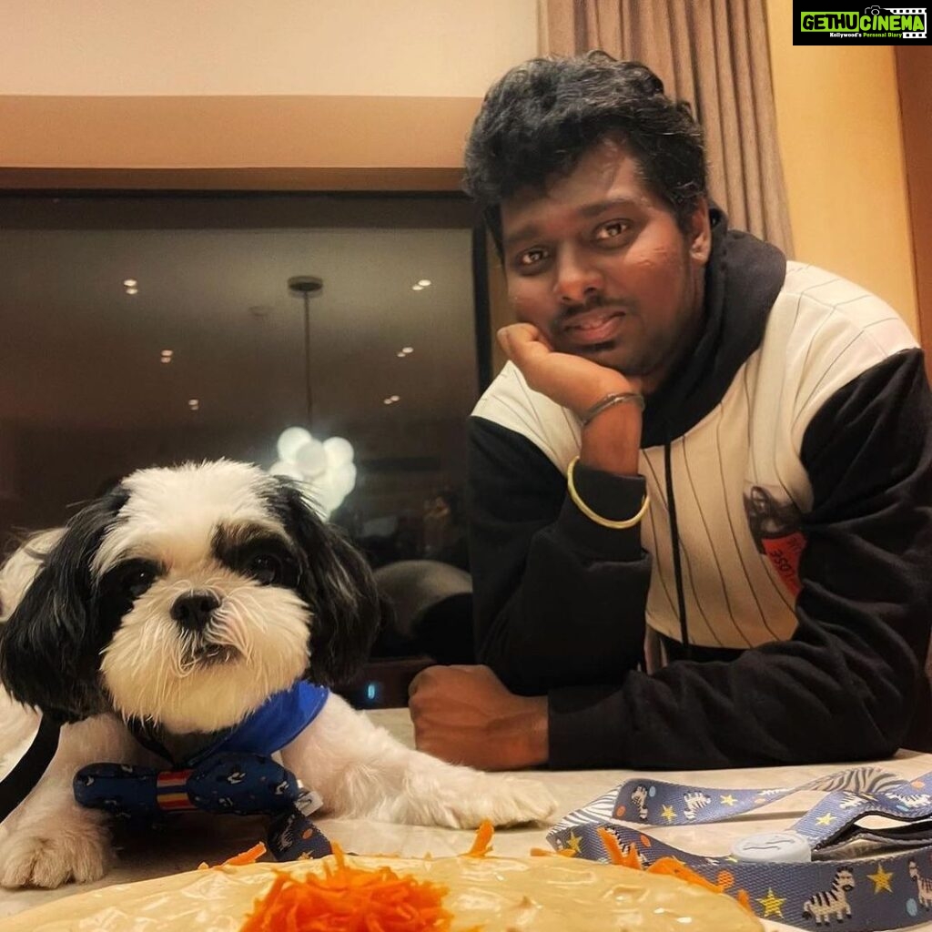 Atlee Kumar Instagram - My baby boooo turns 5 , happy happy bday my baby lil angel , u ve been every thing to us and ve brought so much of positivity and happiness rit frm the time u stepped in our life , mommy and daddaa luv u more than any thing in this world ❤️❤️❤️ happy happy bday my tiny lil angel 🥰 #beckypapa #beckypapaturns5 #loveofourlives❤️ @priyaatlee ❤️❤️❤️🎊🎁🎉🌟