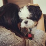 Atlee Kumar Instagram – Morning love 
My world love u both @priyaatlee #becky