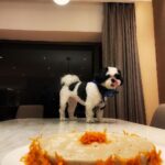 Atlee Kumar Instagram – My baby boooo turns 5 , happy happy bday my baby lil angel , u ve been every thing to us and ve brought so much of positivity and happiness rit frm the time u stepped in our life , mommy and daddaa luv u more than any thing in this world ❤️❤️❤️ happy happy bday my tiny lil angel 🥰 #beckypapa #beckypapaturns5 #loveofourlives❤️ @priyaatlee ❤️❤️❤️🎊🎁🎉🌟