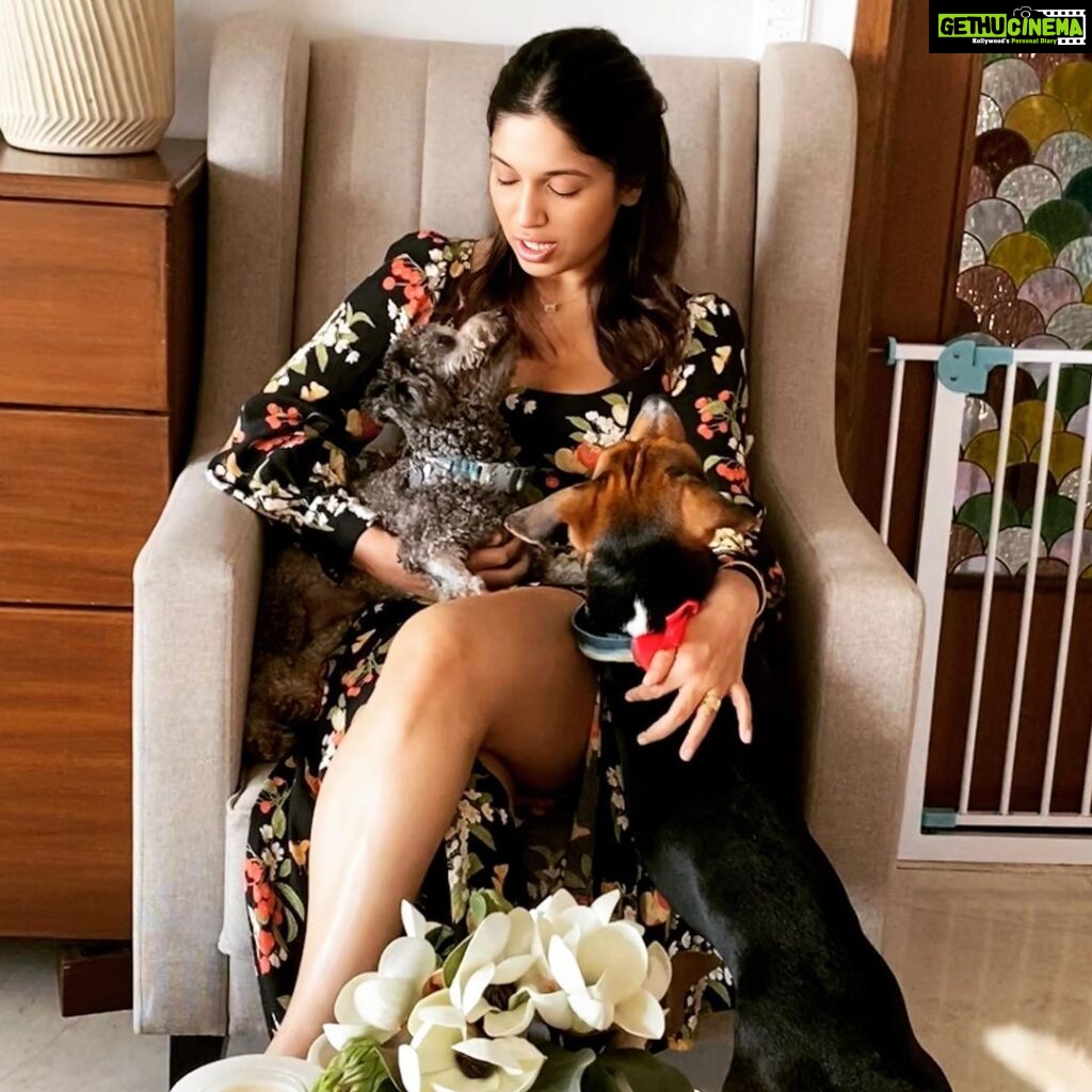 Bhumi Pednekar Instagram - Beau, Bruno & Bhumi are joining hands with @yodamumbai and @theanimalcareorganization ❤️ Excited to see you, but tbh more excited to see your pets 🙈♥️ Join us tomorrow for a #WalkathonforAnimals & #WaterBowlChallenge followed by a free health check-up & vaccination camp for our fur babies. Location: Father Agnel Ashram (next to Taj Lands End) Time: 7am to 9:15am More details on @theanimalcareorganization & @yodamumbai #ClimateWarrior #TACO #Yoda