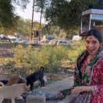 Bhumi Pednekar Instagram – Thank god, god created dogs ❤️
Feed them, love them every chance you get .
#Sunday #Ujjain 
These puppies were chewing on all the garbage they were surrounded by, so please stop littering guys.