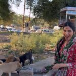 Bhumi Pednekar Instagram - Thank god, god created dogs ❤️ Feed them, love them every chance you get . #Sunday #Ujjain These puppies were chewing on all the garbage they were surrounded by, so please stop littering guys.
