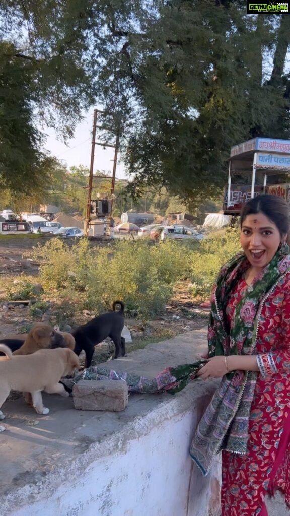 Bhumi Pednekar Instagram - Thank god, god created dogs ❤️ Feed them, love them every chance you get . #Sunday #Ujjain These puppies were chewing on all the garbage they were surrounded by, so please stop littering guys.