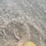 Bhumi Pednekar Instagram - Does the sea make you this happy? #BPTravels #Phuket #throwback . . . . . #nainowalene #sunday