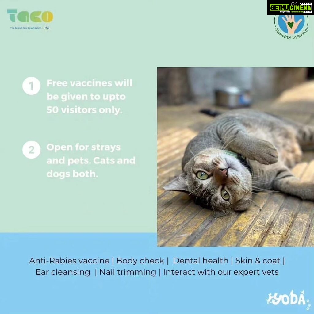 Bhumi Pednekar Instagram - Beau, Bruno & Bhumi are joining hands with @yodamumbai and @theanimalcareorganization ❤️ Excited to see you, but tbh more excited to see your pets 🙈♥️ Join us tomorrow for a #WalkathonforAnimals & #WaterBowlChallenge followed by a free health check-up & vaccination camp for our fur babies. Location: Father Agnel Ashram (next to Taj Lands End) Time: 7am to 9:15am More details on @theanimalcareorganization & @yodamumbai #ClimateWarrior #TACO #Yoda