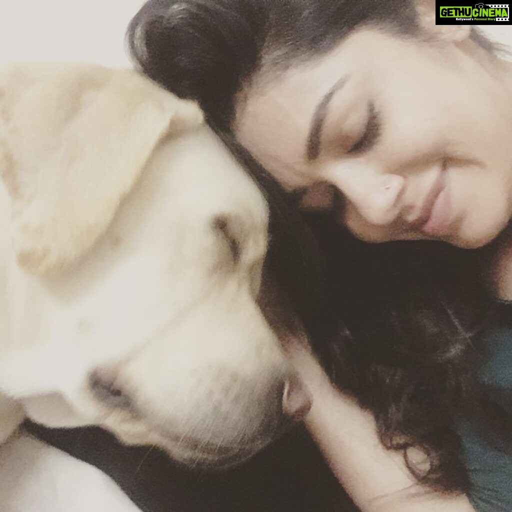 Chaya Singh Instagram - No words to explain their unconditional love 💓 feel blessed to hv them in my life😇 #doggylove #labradorretriever #labsofinstagram #blessed #mylife #mybabies #dogsofinstagram #cutties