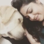 Chaya Singh Instagram - No words to explain their unconditional love 💓 feel blessed to hv them in my life😇 #doggylove #labradorretriever #labsofinstagram #blessed #mylife #mybabies #dogsofinstagram #cutties