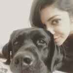 Chaya Singh Instagram – No words to explain their unconditional love 💓 feel blessed to hv them in my life😇
#doggylove #labradorretriever #labsofinstagram #blessed #mylife #mybabies #dogsofinstagram #cutties