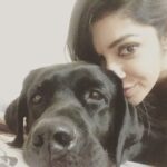 Chaya Singh Instagram - No words to explain their unconditional love 💓 feel blessed to hv them in my life😇 #doggylove #labradorretriever #labsofinstagram #blessed #mylife #mybabies #dogsofinstagram #cutties