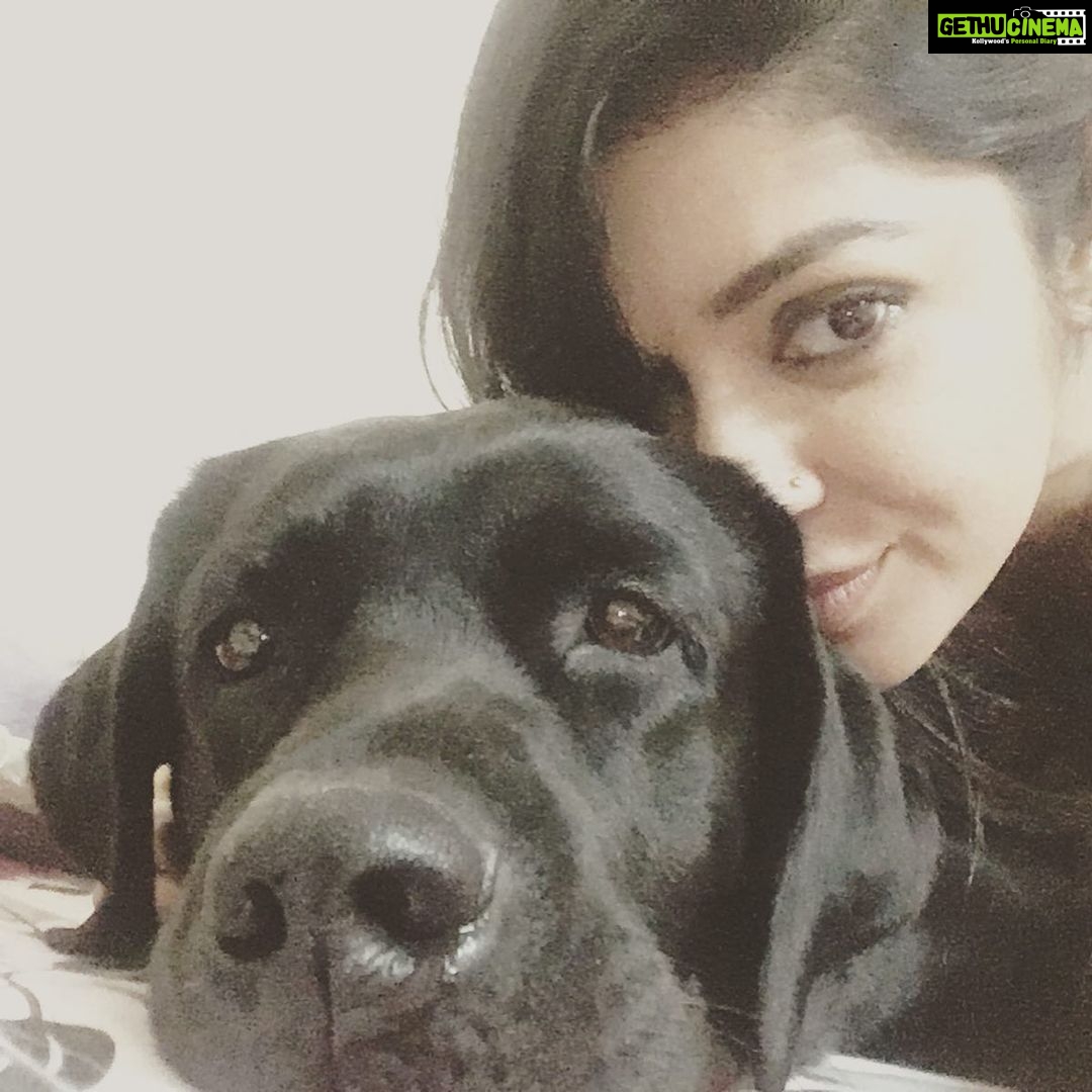 Chaya Singh Instagram - No words to explain their unconditional love 💓 feel blessed to hv them in my life😇 #doggylove #labradorretriever #labsofinstagram #blessed #mylife #mybabies #dogsofinstagram #cutties