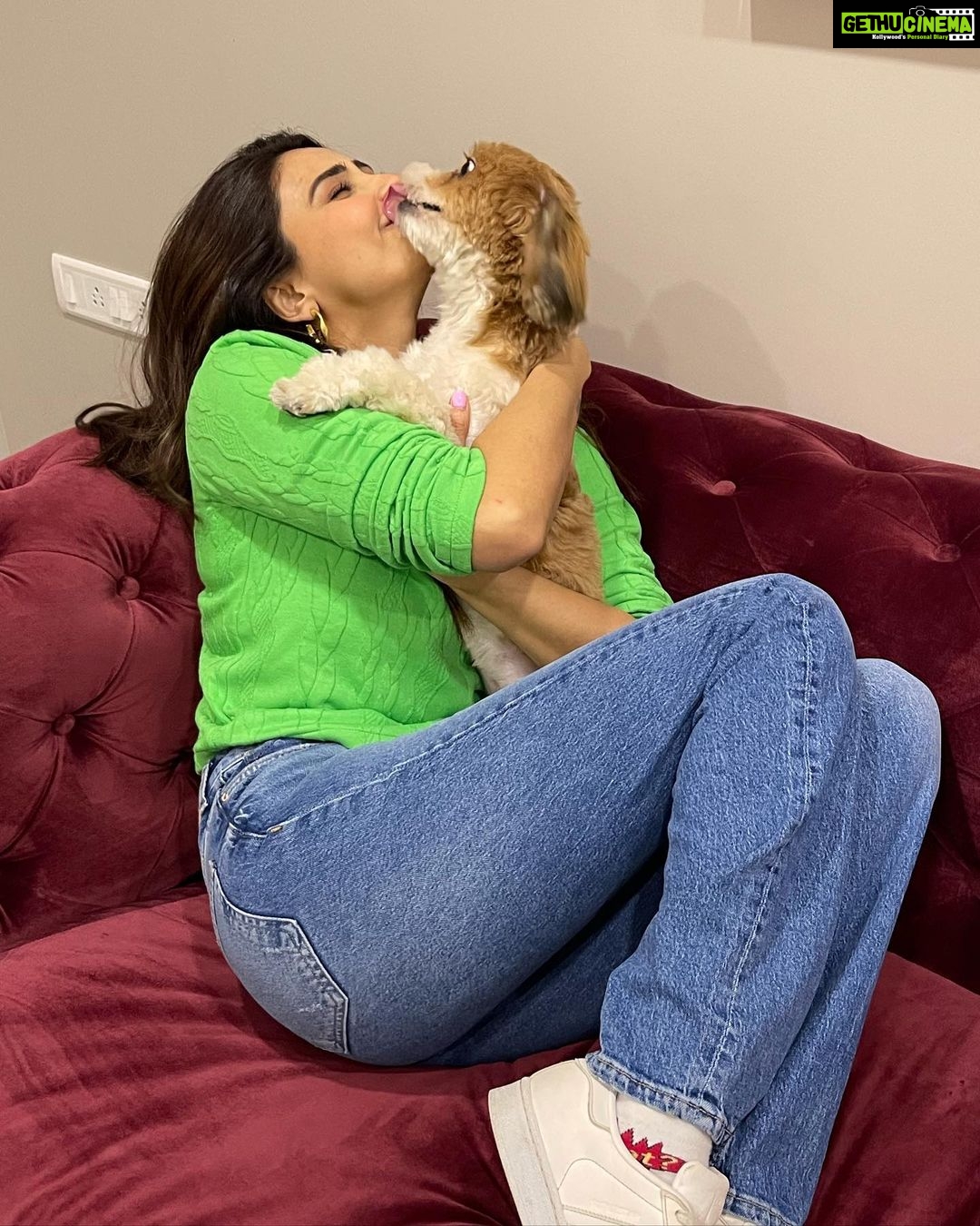 Daisy Shah Instagram - Happy 2nd Bday my babba ❤️ Swipe 👈🏻 to see the cutest pics of my baby boy. . . . #2ndbirthday #theoshahofficial #dogmom