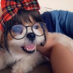 Daisy Shah Instagram - Felt delete… might cute later!