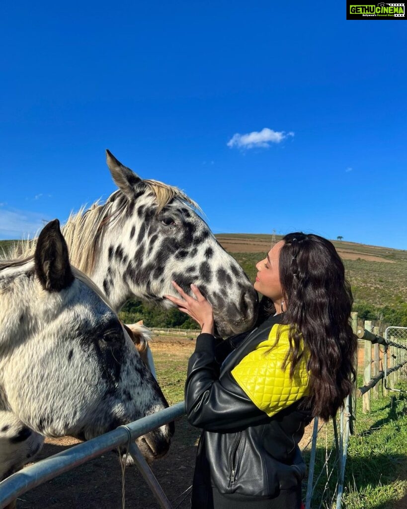 Daisy Shah Instagram - Firm and strong Yet so gentle, kind and beautiful. ❤️ . . . #khatronkekhiladi13 #southafrica #love #dalmatianhorse #loveatfirstsight South Africa