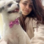 Daisy Shah Instagram - Happy 1st my baby boy ❤️ . . . #dogmomforlife #mikoshah #pawdieeready