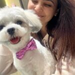 Daisy Shah Instagram – Happy 1st my baby boy ❤️
.
.
.
#dogmomforlife #mikoshah #pawdieeready