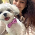 Daisy Shah Instagram - Happy 1st my baby boy ❤️ . . . #dogmomforlife #mikoshah #pawdieeready