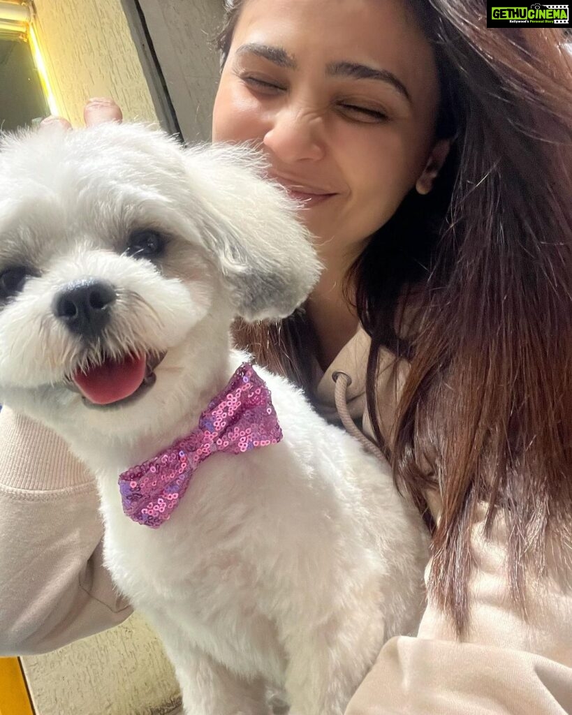 Daisy Shah Instagram - Happy 1st my baby boy ❤️ . . . #dogmomforlife #mikoshah #pawdieeready