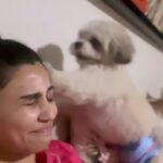 Daisy Shah Instagram – To all the people who think Miko is very shaant! Khud hi dekhlo
.
.
#mybabyboy #dogmom
P.s… yes sometimes he wears a diaper 💁🏻♀️