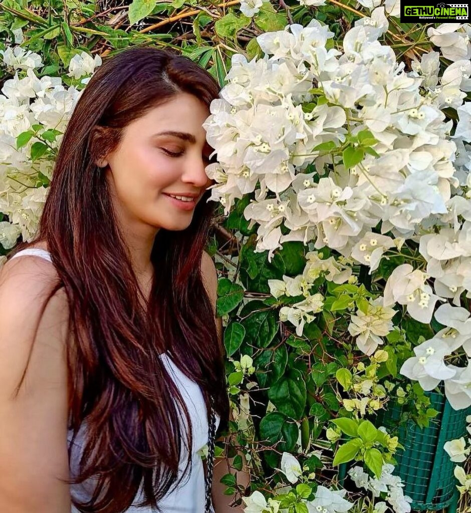 Daisy Shah Instagram - “Earth laughs in flowers” - Ralph Waldo Emerson