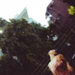 Deepti Sati Instagram – Gloomy afternoons

Captured by @mohitkrtiwari Delhi