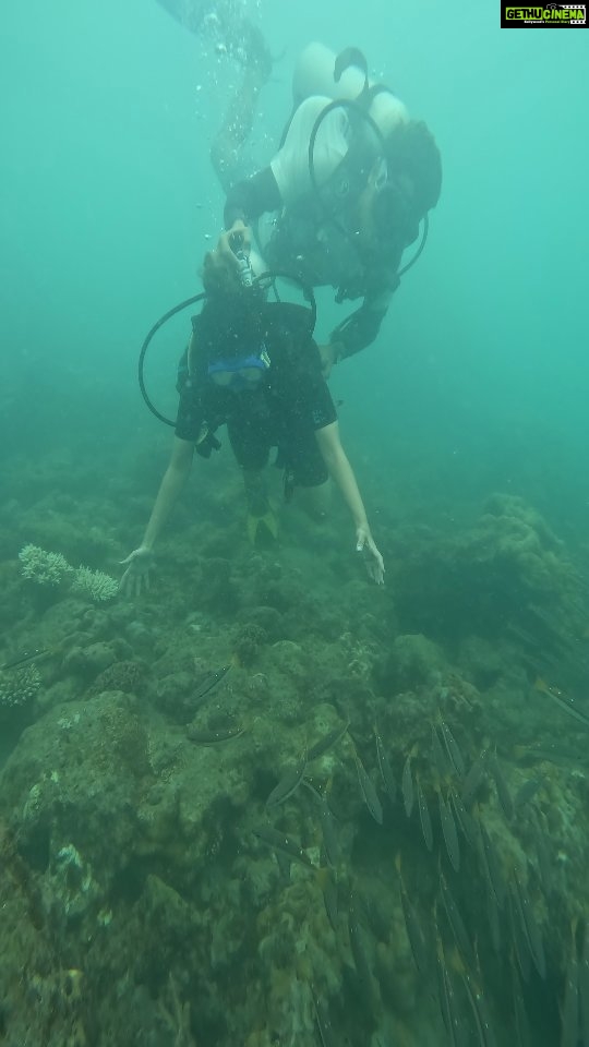 Dharsha Gupta Instagram - 🐟 Had such an amazing experience in my life. Loved under water, thanku @thedivemasterhavelock , @experienceandamans ... Thanku @touronholidays for this lovely experience 🐟 Havelock Island, Andaman and Nicobar Island