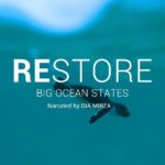 Dia Mirza Instagram - Small Island Developing States are among the places most impacted by the #ClimateCrisis. Watch how the collective #GenerationRestoration efforts by the countries of St. Lucia, Comoros, and Vanuatu are turning a threat into a glimmer of hope. Full episode via link in our bio.