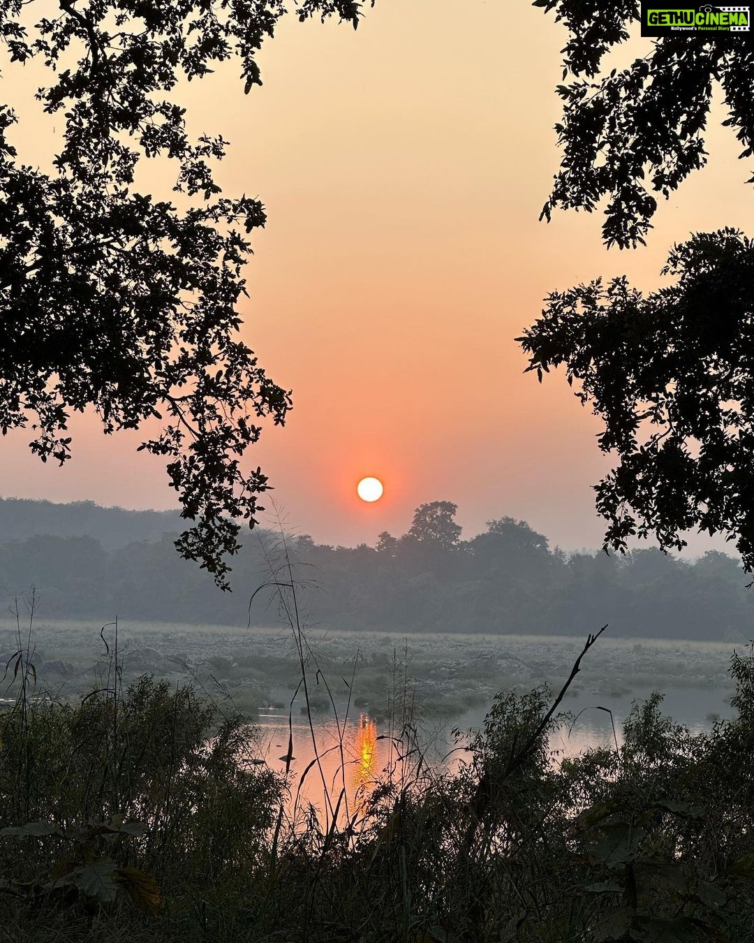 Dia Mirza Instagram - Yesterday was #InternationalDayOfForests π³πποΈ Why are our #Forests so integral to health, peace and survival? Over 1.6 billion people depend on forests for food or fuel, and some 70 million people worldwide - including many Indigenous communities - call forests their home. With so many people dependent on forests, the fate of our forests may determine our own fate as well. Forests help prevent erosion and enrich and conserve soil. Deforestation has serious consequences on the health of people directly dependent on forests, as well as those living in cities and towns, as it increases the risk of diseases crossing over from animals to humans. Meanwhile, time spent in forests has been shown to have a positive benefit on conditions including cardiovascular disease, respiratory concerns, diabetes and mental health. Forests are home to over 80% of terrestrial biodiversity, including 80% of amphibians, 75% of birds and 68% of mammals. Deforestation of some tropical forests could lead to the loss of as many as 100 species a day. It is no surprise that when we cut down or damage our forests, we release huge amounts of carbon emissions that contribute to the climate crisis. About one-third of the worldβs largest cities obtain a significant proportion of their drinking water from forested protected areas. Our lives are deeply linked with forests. You can help protect forests by pledging your support to an organisation or community that works to protect forests π³ππ» I work with @wildlifetrustofindia @ifawglobal @unep @sanctuaryasia you can volunteer or help any of these organisations or one of your own choice. Letβs pledge to protect forests for the sake of our health, security, peace and prosperity π¦ #ForPeopleForPlanet #ForNature #GenerationRestoration #OnePlanetOnePeople #OneEarth #SDGs #GlobalGoals India