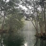Dia Mirza Instagram – Yesterday was #InternationalDayOfForests π³πποΈ
Why are our #Forests so integral to health, peace and survival?
Over 1.6 billion people depend on forests for food or fuel, and some 70 million people worldwide – including many Indigenous communities – call forests their home.
With so many people dependent on forests, the fate of our forests may determine our own fate as well.
Forests help prevent erosion and enrich and conserve soil.
Deforestation has serious consequences on the health of people directly dependent on forests, as well as those living in cities and towns, as it increases the risk of diseases crossing over from animals to humans. Meanwhile, time spent in forests has been shown to have a positive benefit on conditions including cardiovascular disease, respiratory concerns, diabetes and mental health.
Forests are home to over 80% of terrestrial biodiversity, including 80% of amphibians, 75% of birds and 68% of mammals. Deforestation of some tropical forests could lead to the loss of as many as 100 species a day.
It is no surprise that when we cut down or damage our forests, we release huge amounts of carbon emissions that contribute to the climate crisis.
About one-third of the worldβs largest cities obtain a significant proportion of their drinking water from forested protected areas.
Our lives are deeply linked with forests.
You can help protect forests by pledging your support to an organisation or community that works to protect forests π³ππ»
I work with @wildlifetrustofindia @ifawglobal @unep @sanctuaryasia you can volunteer or help any of these organisations or one of your own choice.
Letβs pledge to protect forests for the sake of our health, security, peace and prosperity π¦
#ForPeopleForPlanet #ForNature #GenerationRestoration #OnePlanetOnePeople #OneEarth #SDGs #GlobalGoals India