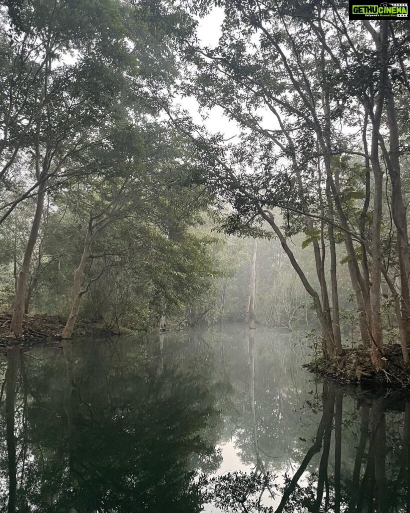 Dia Mirza Instagram - Yesterday was #InternationalDayOfForests 🌳🌏🕊️ Why are our #Forests so integral to health, peace and survival? Over 1.6 billion people depend on forests for food or fuel, and some 70 million people worldwide - including many Indigenous communities - call forests their home. With so many people dependent on forests, the fate of our forests may determine our own fate as well. Forests help prevent erosion and enrich and conserve soil. Deforestation has serious consequences on the health of people directly dependent on forests, as well as those living in cities and towns, as it increases the risk of diseases crossing over from animals to humans. Meanwhile, time spent in forests has been shown to have a positive benefit on conditions including cardiovascular disease, respiratory concerns, diabetes and mental health. Forests are home to over 80% of terrestrial biodiversity, including 80% of amphibians, 75% of birds and 68% of mammals. Deforestation of some tropical forests could lead to the loss of as many as 100 species a day. It is no surprise that when we cut down or damage our forests, we release huge amounts of carbon emissions that contribute to the climate crisis. About one-third of the world’s largest cities obtain a significant proportion of their drinking water from forested protected areas. Our lives are deeply linked with forests. You can help protect forests by pledging your support to an organisation or community that works to protect forests 🌳🙏🏻 I work with @wildlifetrustofindia @ifawglobal @unep @sanctuaryasia you can volunteer or help any of these organisations or one of your own choice. Let’s pledge to protect forests for the sake of our health, security, peace and prosperity 🦋 #ForPeopleForPlanet #ForNature #GenerationRestoration #OnePlanetOnePeople #OneEarth #SDGs #GlobalGoals India