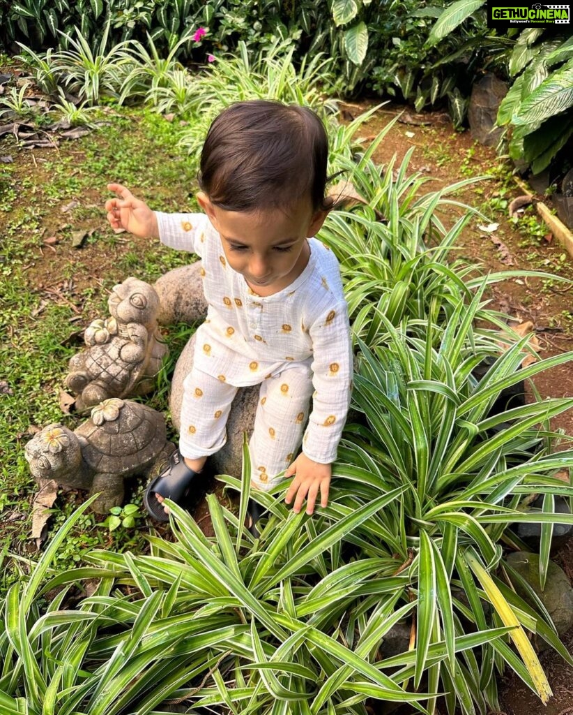Dia Mirza Instagram - Spending time in the garden surrounded by big trees, with over 25 species of birds is a wonderful time of day for us 🌏🐯☀️🦋💚 Everyday our son gets to interact with nature it fosters a sense of belonging, of oneness with all life and benefits health. Have you read the book “Last Child In The Woods” by Richard Louv? "Last Child in the Woods" discusses the growing disconnect between children and nature, and the potential consequences of this trend on the physical, mental, and emotional development of young people. The book argues that as children spend more time indoors and less time engaging with the natural world, they may experience a range of negative effects, including obesity, attention disorders, depression, and a diminished sense of creativity and wonder. The book suggests that by fostering a closer relationship between children and nature, parents, educators, and community leaders can help promote healthier and more well-rounded development for the next generation. Louv also advocates for the creation of more green spaces and outdoor educational programs, as well as increased awareness and protection of natural areas. The book has helped spark a movement focused on reconnecting children with nature, sometimes referred to as the "Nature Movement." Let’s ensure our children seek nature everyday 🙌🏼🌻 #ForNature #ForPeopleForPlanet Bandra World of Storytellers