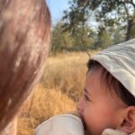 Dia Mirza Instagram - Part 2 #LastPostOf2022 Who’s forest is it Avyaan Azaad? And he says, “Tiger” 🐯 Sums it all up. Everything we hope for. Everything we must stand for. #PannaTigerReserve will forever be etched in our hearts as the first forest our little one experienced. Thank you #2022. You were kind and generous 💚🌳🌏 #SunsetKeDiVane #ForNature #IntoTheWild P.s- honouring our teenage daughters wish to not be on social media @samairarekhi 🌻 @vaibhav.rekhi #shotoniphone