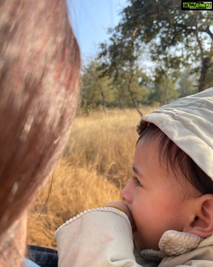 Dia Mirza Instagram - Part 2 #LastPostOf2022 Who’s forest is it Avyaan Azaad? And he says, “Tiger” 🐯 Sums it all up. Everything we hope for. Everything we must stand for. #PannaTigerReserve will forever be etched in our hearts as the first forest our little one experienced. Thank you #2022. You were kind and generous 💚🌳🌏 #SunsetKeDiVane #ForNature #IntoTheWild P.s- honouring our teenage daughters wish to not be on social media @samairarekhi 🌻 @vaibhav.rekhi #shotoniphone