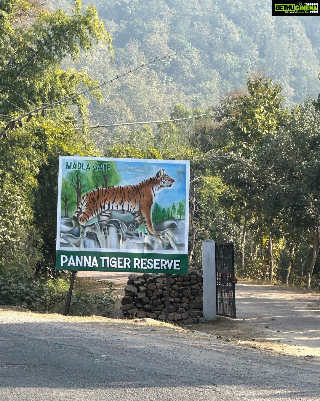 Dia Mirza Instagram - Part 2 #LastPostOf2022 Whoโs forest is it Avyaan Azaad? And he says, โTigerโ ๐ฏ Sums it all up. Everything we hope for. Everything we must stand for. #PannaTigerReserve will forever be etched in our hearts as the first forest our little one experienced. Thank you #2022. You were kind and generous ๐๐ณ๐ #SunsetKeDiVane #ForNature #IntoTheWild P.s- honouring our teenage daughters wish to not be on social media @samairarekhi ๐ป @vaibhav.rekhi #shotoniphone