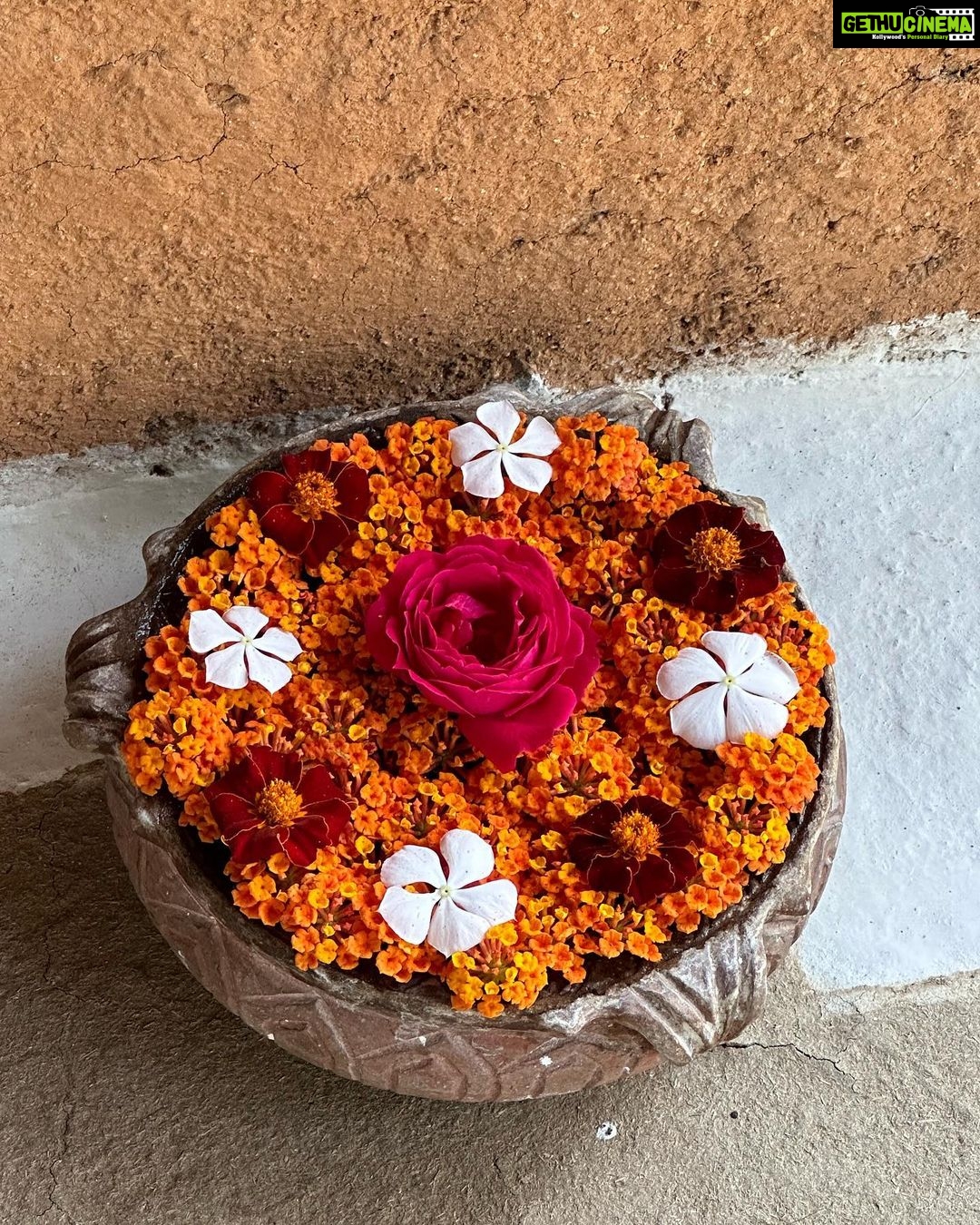 Dia Mirza Instagram - Part 1: We couldnβt have asked for a better year end! Going into the wild with those i love the most. Best best best time. Thank you Joanna and Raghu for giving us a memorable time in the wild @saraiattoria ππ―π³ We carry back with us deep and abiding impressions. The kids had the time of their lives! We will keep coming back π³π¦π Thank you #2022! You were kind and generous ππ»π» #InToTheWild #ForNature #LastPostOf2022 #SunsetKeDiVane @vaibhav.rekhi @deepamirza @theiatekchandaney @many_mumbais The Sarai at Toria